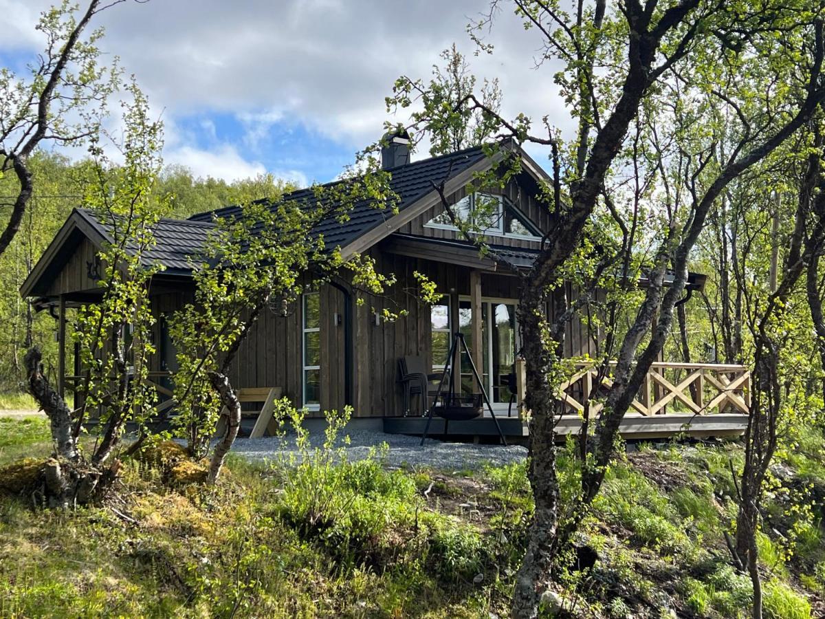 Villa Olderfjord